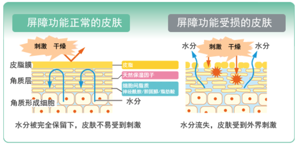 干、癢、紅、腫？別慌涂護(hù)膚品，先看看皮膚屏