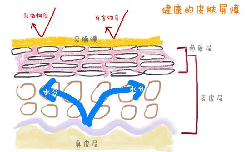 軍事迷的護膚解讀：我將合理清潔、保濕、防曬